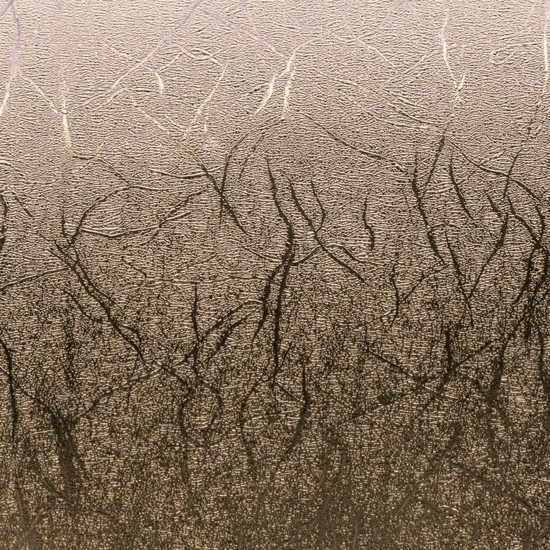 Cricut Premium Vinyl ™ Textured Metallic, Σαμπανιζέ 30.5cm X 122cm Cricut Premium Vinyl ™ Textured Metallic, Σαμπανιζέ 30.5cm X 122cm