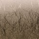 Cricut Premium Vinyl ™ Textured Metallic, Σαμπανιζέ 30.5cm X 122cm Cricut Premium Vinyl ™ Textured Metallic, Σαμπανιζέ 30.5cm X 122cm