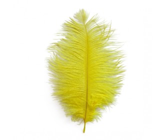 Φτερό στρουθοκάμηλου κίτρινο 20cm Φτερό στρουθοκάμηλου κίτρινο 20cm