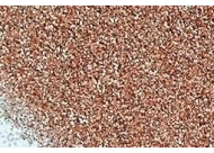ΓΚΛΙΤΤΕΡ ΣΚΟΝΗ Rose Gold 1kg