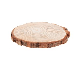 Κορμός ξύλου διάμετρος  14-16cm , πάχος 1,5cm  Κορμός ξύλου διάμετρος  14-16cm , πάχος 1,5cm