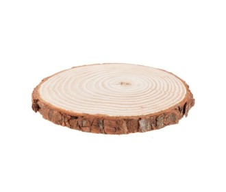 Κορμός ξύλου διάμετρος  12-14cm , πάχος 1,5cm  Κορμός ξύλου διάμετρος  12-14cm , πάχος 1,5cm