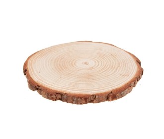 Κορμός ξύλου διάμετρος  19-21cm , πάχος 2cm  Κορμός ξύλου διάμετρος  19-21cm , πάχος 2cm