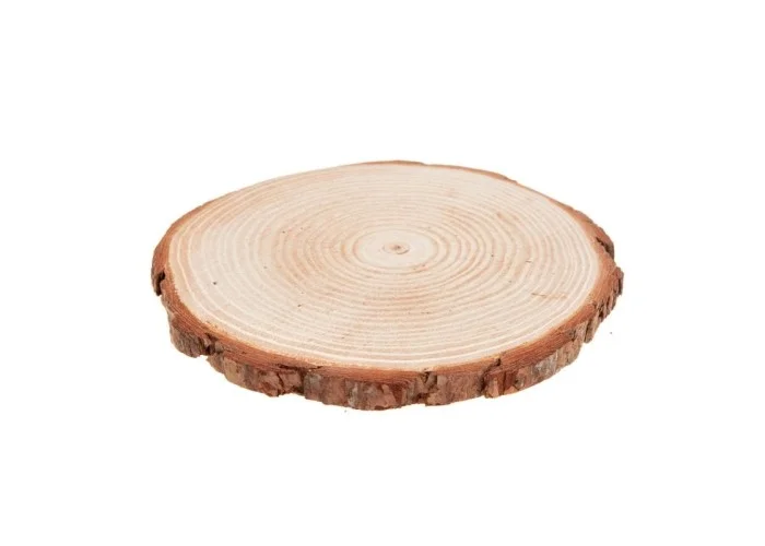 Κορμός ξύλου διάμετρος  19-21cm , πάχος 2cm 