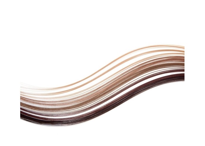 Xαρτολωρίδες Quilling 130gr 25τεμ 3 mm - αποχρώσεις καφέ Xαρτολωρίδες Quilling 130gr 25τεμ 3 mm - αποχρώσεις καφέ