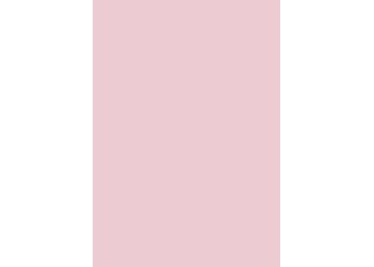ΧΑΡΤΟΝΙ Α4 300γρ Light Rose ΧΑΡΤΟΝΙ Α4 300γρ Light Rose