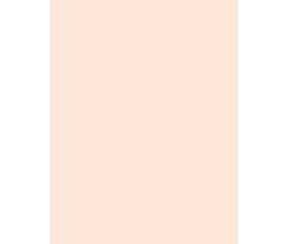 Χαρτόνι Α4 300γρ. Flesh  Χαρτόνι Α4 300γρ. Flesh