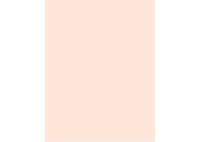Χαρτόνι Α4 300γρ. Flesh Χαρτόνι Α4 300γρ. Flesh