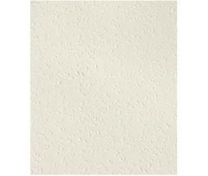 Χαρτί ανάγλυφο Α4 220γρ - Roma ιβουάρ Χαρτί ανάγλυφο Α4 220γρ - Roma ιβουάρ