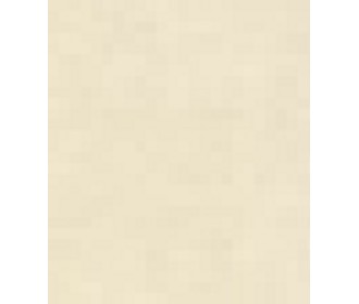 ΡΙΖΟΧΑΡΤΟ A4 115γρ CHAMOIS  ΡΙΖΟΧΑΡΤΟ A4 115γρ CHAMOIS