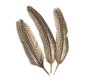 Φτερά φραγκόκοτας 20cm 8 τεμ Φτερά φραγκόκοτας 20cm 8 τεμ