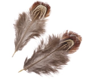 Φτερά φασιανού 3-9cm 1.5g Φτερά φασιανού 3-9cm 1.5g