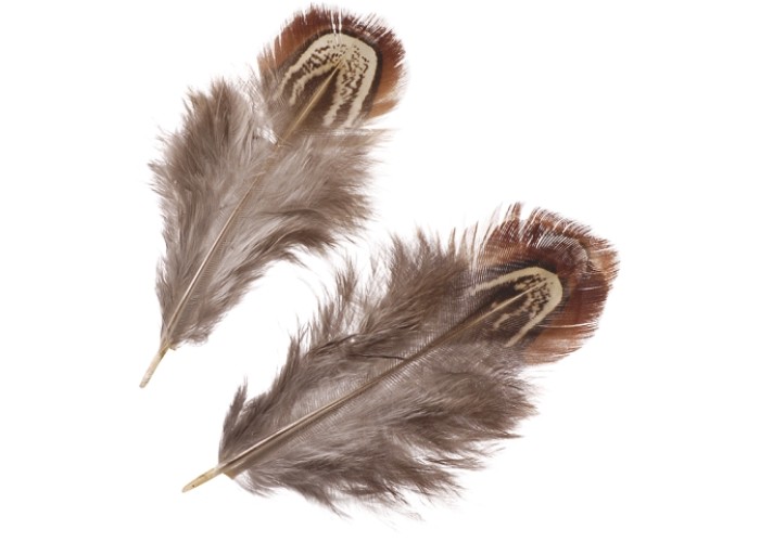 Φτερά φασιανού 3-9cm 1.5g Φτερά φασιανού 3-9cm 1.5g