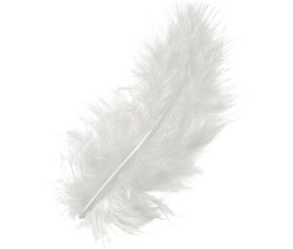 Φτερά Μαραμπου 10cm 50τεμ - Λευκά Φτερά Μαραμπου 10cm 50τεμ - Λευκά