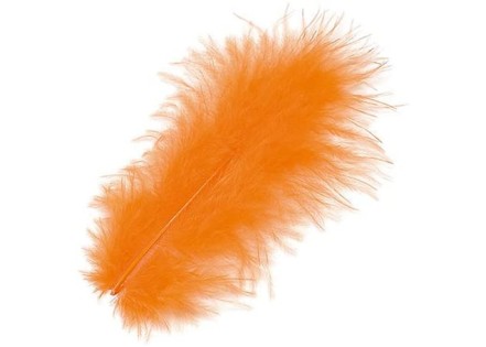Φτερά Μαραμπου 10cm 15τεμ - Πορτοκαλί Φτερά Μαραμπου 10cm 15τεμ - Πορτοκαλί