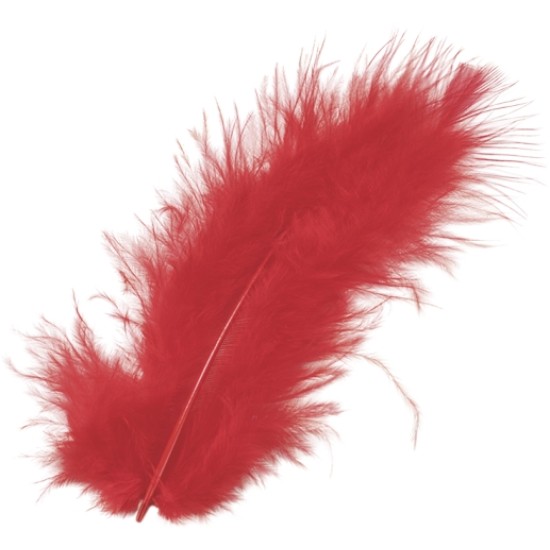 Φτερά Μαραμπου 10cm 15τεμ -red