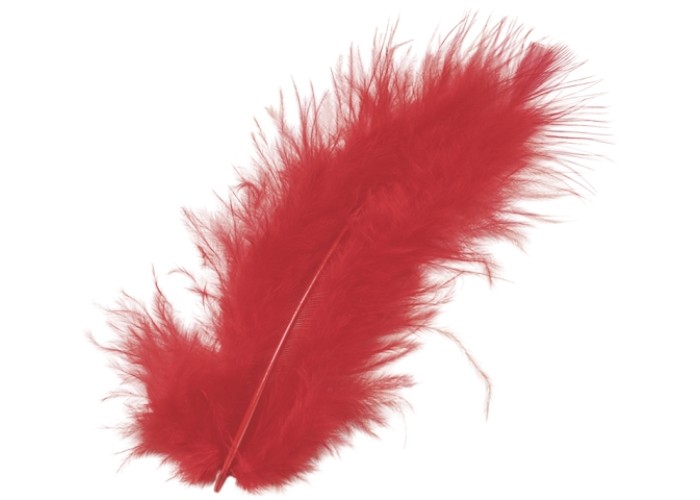 Φτερά Μαραμπου 10cm 15τεμ -red Φτερά Μαραμπου 10cm 15τεμ -red