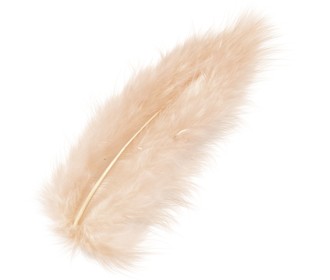 Φτερά Μαραμπου 10cm 15τεμ - apricot Φτερά Μαραμπου 10cm 15τεμ - apricot