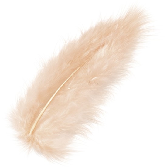 Φτερά Μαραμπου 10cm 15τεμ - apricot