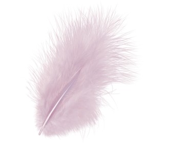 Φτερά Μαραμπου 10cm 15τεμ - ροζ Φτερά Μαραμπου 10cm 15τεμ - ροζ