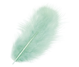 Φτερά Μαραμπου 10cm 15τεμ - Τιρκουάζ Φτερά Μαραμπου 10cm 15τεμ - Τιρκουάζ