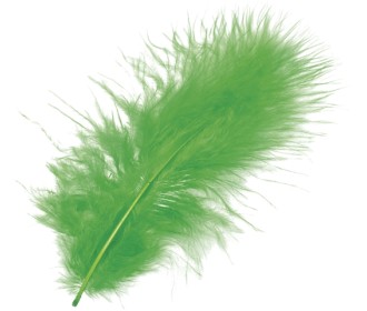Φτερά Μαραμπου 10cm 15τεμ -green