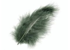 Φτερά Μαραμπου 10cm 15τεμ -dark green Φτερά Μαραμπου 10cm 15τεμ -dark green