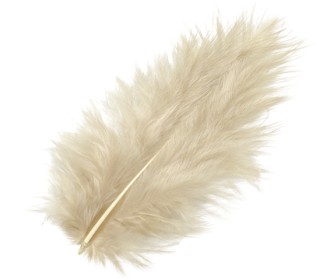 Φτερά Μαραμπου 10cm 15τεμ - sand Φτερά Μαραμπου 10cm 15τεμ - sand