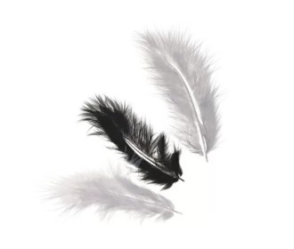 Φτερά Μαραμπού 10cm 15τεμ - Mάυρο άσπρο γκρι Φτερά Μαραμπού 10cm 15τεμ - Mάυρο άσπρο γκρι