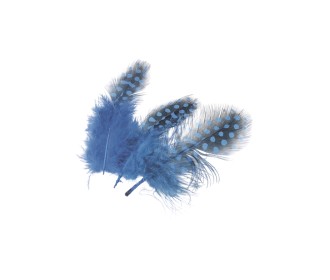 Φτερά πουά 5cm 20τεμ μπλε  Φτερά πουά 5cm 20τεμ μπλε