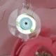 Γούρι ρόδι διάφανο και mirror plexiglass 8cm x 6.5cm