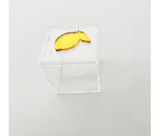 Plexiglass Κουτάκι 5,5cm Με Διακοσμητικό Στοιχείο Plexiglass Λεμόνι Plexiglass Κουτάκι 5,5cm Με Διακοσμητικό Στοιχείο Plexiglass Λεμόνι