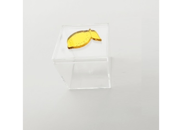 Plexiglass Κουτάκι 5,5cm Με Διακοσμητικό Στοιχείο Plexiglass Λεμόνι Plexiglass Κουτάκι 5,5cm Με Διακοσμητικό Στοιχείο Plexiglass Λεμόνι