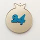 Plexiglass ρόδι 9cm 2026 #5  
