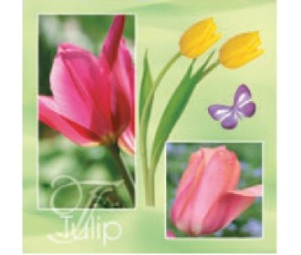 Χαρτοπετσέτα decoupage 33X33 τουλίπες Χαρτοπετσέτα decoupage 33X33 τουλίπες