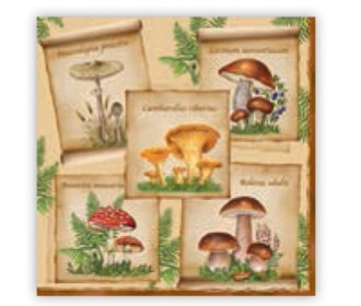 Χαρτοπετσέτα decoupage 33X33 μανιτάρια Χαρτοπετσέτα decoupage 33X33 μανιτάρια