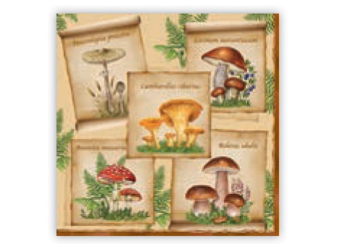 Χαρτοπετσέτα decoupage 33X33 μανιτάρια Χαρτοπετσέτα decoupage 33X33 μανιτάρια