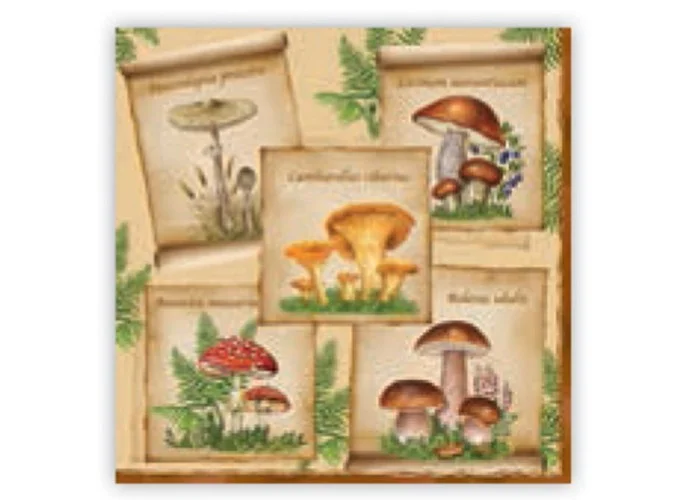Χαρτοπετσέτα decoupage 33X33 μανιτάρια
