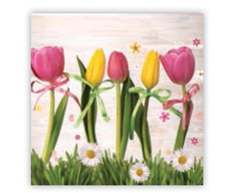 Χαρτοπετσέτα decoupage 33X33 τουλίπες Χαρτοπετσέτα decoupage 33X33 τουλίπες