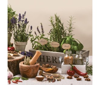 Χαρτοπετσέτα decoupage 33X33 βότανα Χαρτοπετσέτα decoupage 33X33 βότανα