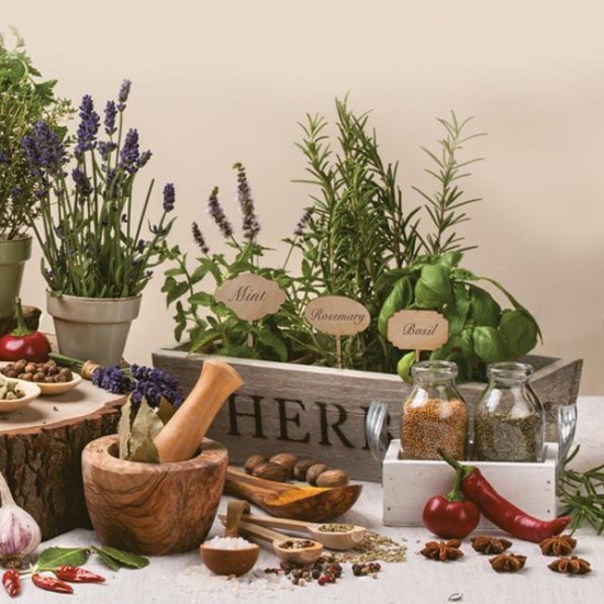 Χαρτοπετσέτα decoupage 33X33 βότανα Χαρτοπετσέτα decoupage 33X33 βότανα