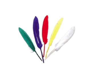 Φτερά ινδιάνου 10εκ-14εκ.. 72τεμ. σε διάφορα χρώματα