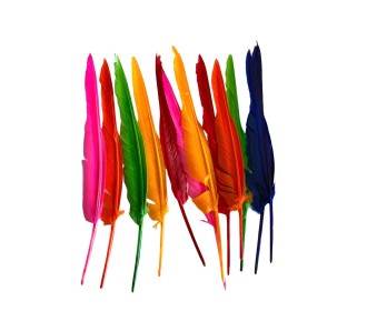 Φτερά Ινδιάνου 30-35εκ 12τεμ