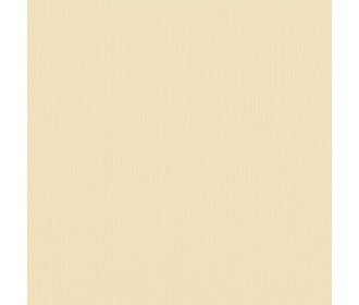 Xαρτόνι scrapbooking 30cmx30cm 216gr  raffia Xαρτόνι scrapbooking 30cmx30cm 216gr  raffia
