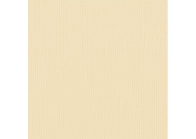 Xαρτόνι scrapbooking 30cmx30cm 216gr raffia Xαρτόνι scrapbooking 30cmx30cm 216gr raffia