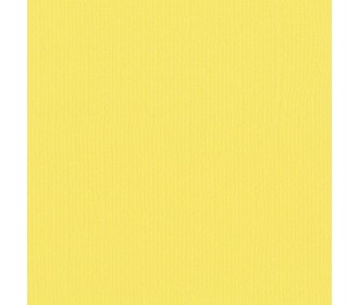 Xαρτόνι scrapbooking 30cmx30cm 216gr asparagus Xαρτόνι scrapbooking 30cmx30cm 216gr asparagus