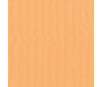 Xαρτόνι scrapbooking 30cmx30cm 216gr bee Xαρτόνι scrapbooking 30cmx30cm 216gr bee