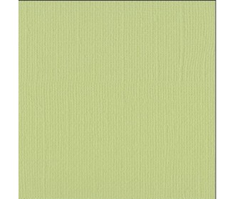 Xαρτόνι scrapbooking 30cmx30cm 216gr anise Xαρτόνι scrapbooking 30cmx30cm 216gr anise