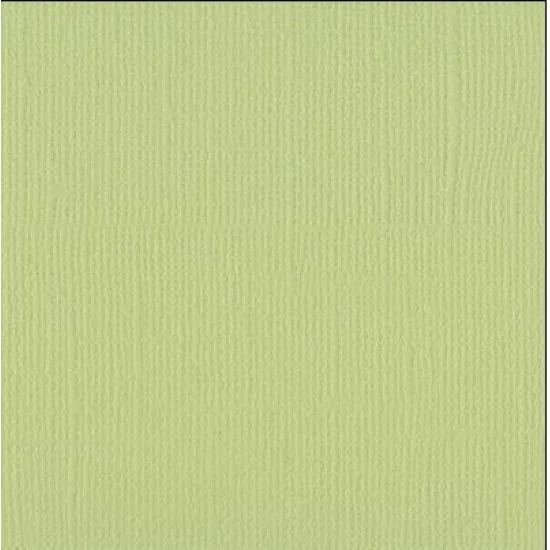 Xαρτόνι scrapbooking 30cmx30cm 216gr anise
