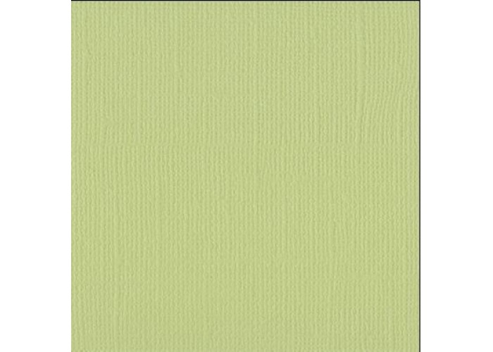 Xαρτόνι scrapbooking 30cmx30cm 216gr anise Xαρτόνι scrapbooking 30cmx30cm 216gr anise